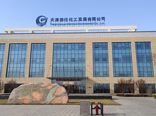 天津渤化化工发展有限公司